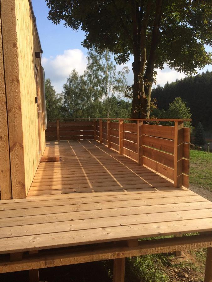 Zinipi Retreat Gelenau "Eber" Villa Wiltzsch Екстериор снимка