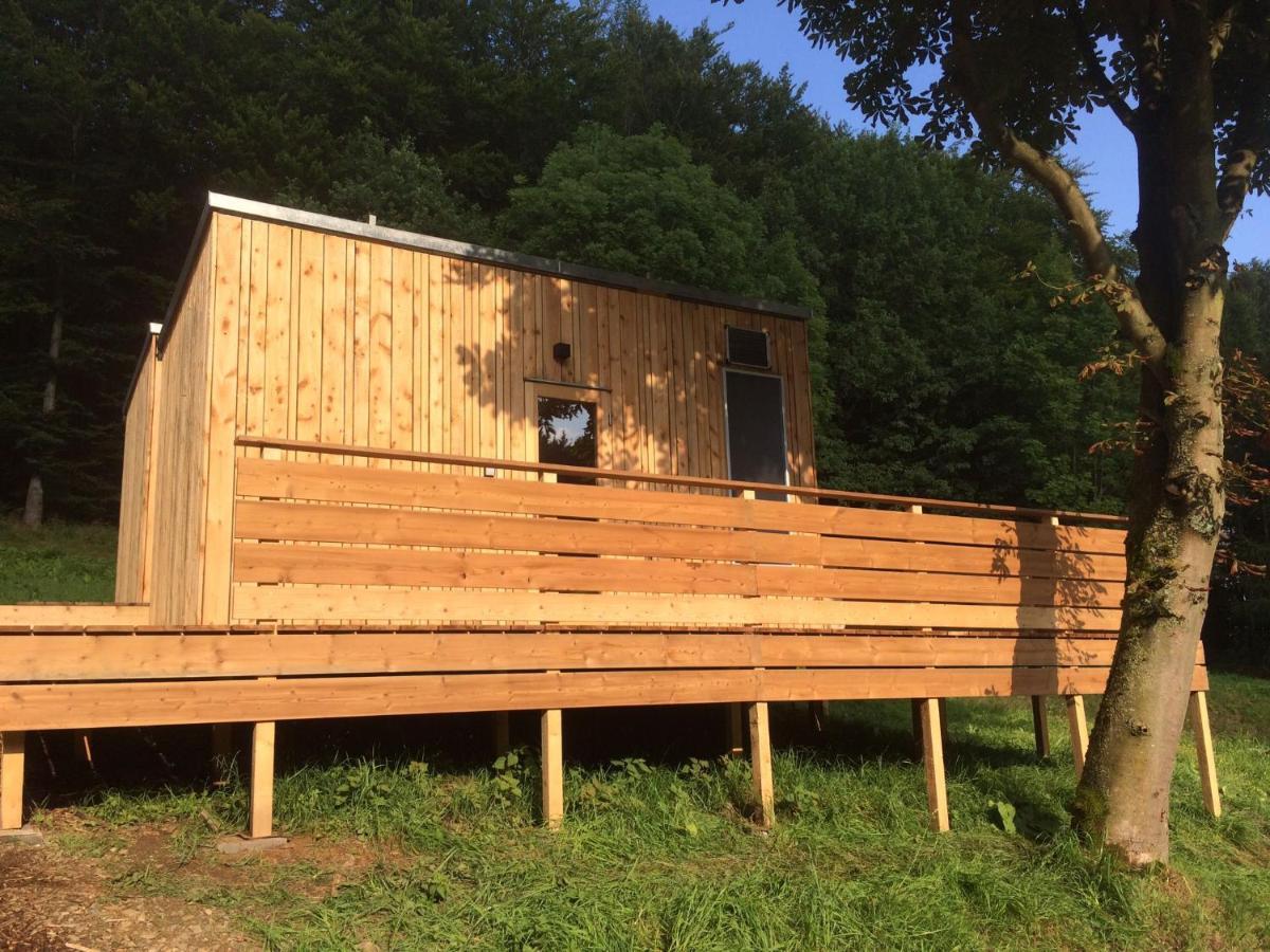 Zinipi Retreat Gelenau "Eber" Villa Wiltzsch Екстериор снимка
