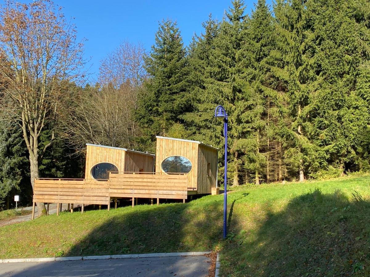 Zinipi Retreat Gelenau "Eber" Villa Wiltzsch Екстериор снимка